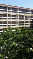 Blk 464 Pasir Ris Street 41 (Pasir Ris), HDB Executive #66997222